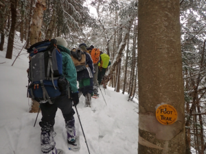 Group Snowshoeing Adventure