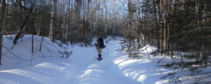 solo snowshoeing